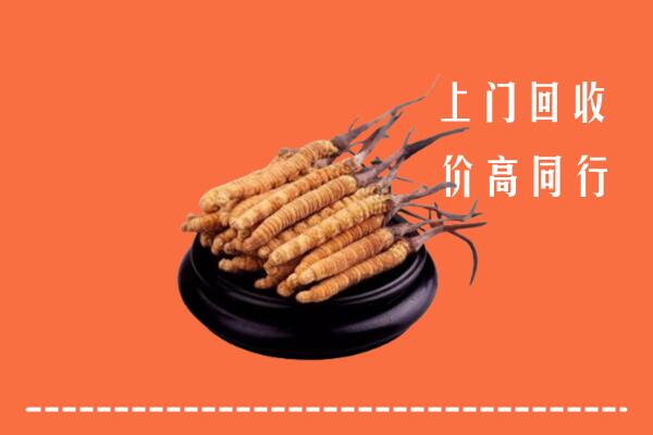 高价求购：泰山区回收散虫草